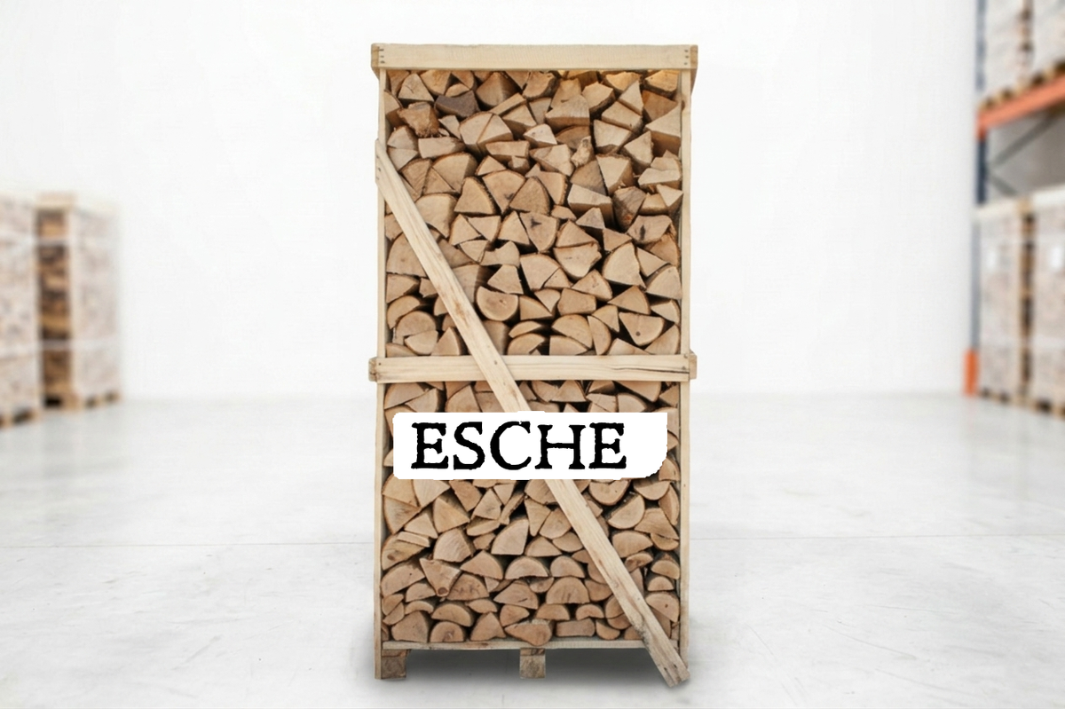 Brennholz Palette – Esche – 30/33 cm – kammergetrocknet – 1,8 RM