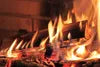 Brennholz Kaminholz Feuerholz Buche 240kg im Karton / 25cm Produktbild-Vorschau 3