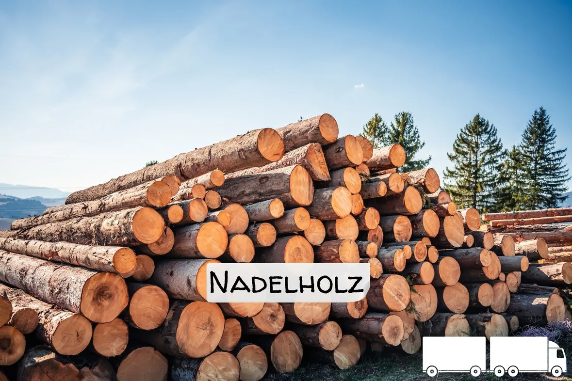 Stammholz Nadelholz – LKW-Ladung flexibel
