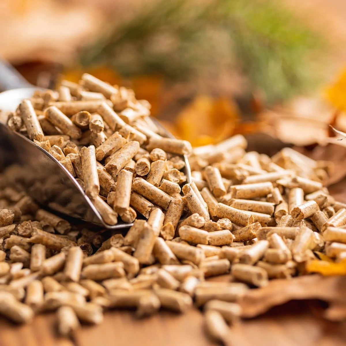 Helle Hartholz-Holzpellets in Schaufel, auf Holz mit Herbstlaub. ENplus A1 Brennstoffe für Heizungen.